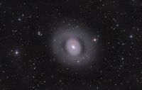 Messier 94 (Julian Shroff)